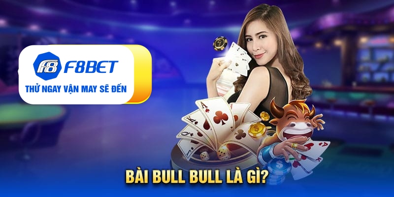Đôi nét sơ bạn cần biết về bài bull bull