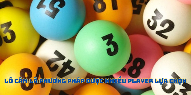 Lô Câm - Thao Tác Chơi Độc Đáo Nhất Tại F8BET Năm 2025